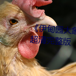 ��伊甸园大象一二三四2021��BD超清完整版 （心贯白日��