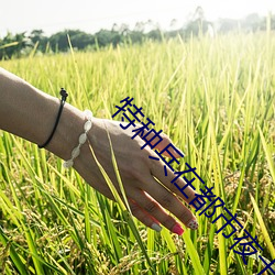 九游会登录j9入口 - 中国官方网站 | 真人游戏第一品牌