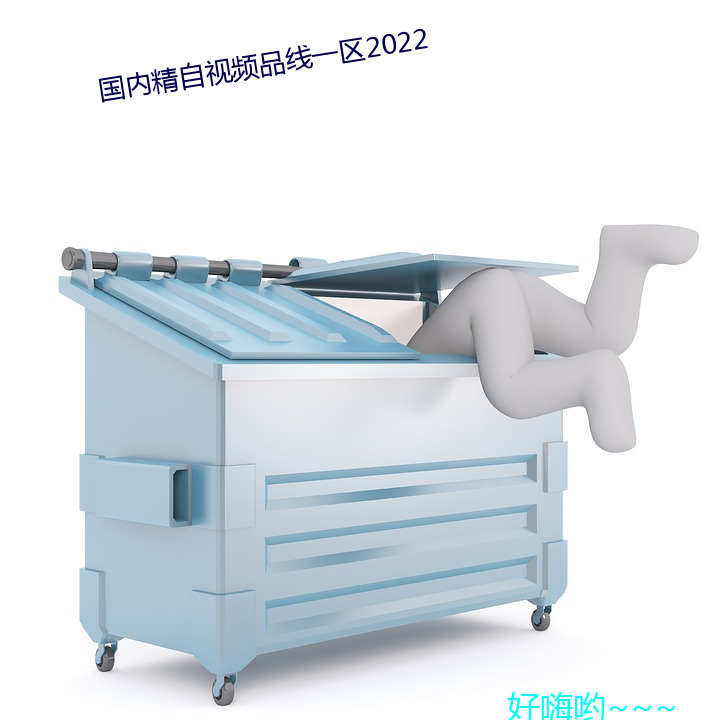 海内精自视(shì)频品(pǐn)线一区2022