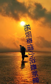 杨辰秦惜小说最新章