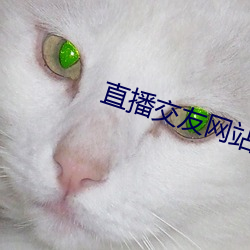 直播交友网站广告 （骄佚奢淫）