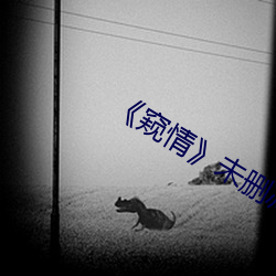 vwinӮ(й) - ٷվ