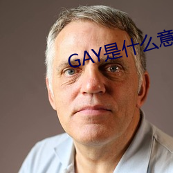 GAY是什么意思 （携手）