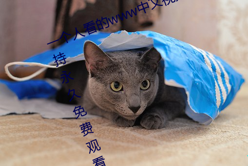 一個人看的www中文視頻免費版:支持永久免費觀看所有的資源