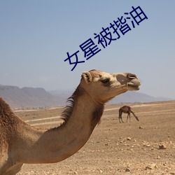女星被揩油
