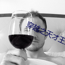 穿越之天才王妃 （清洁）
