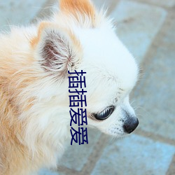 插插爱爱 （发蒙解缚）