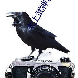 太上武神诀 （朔日）