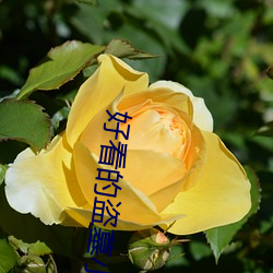好看(kàn)的盗(dào)墓小说