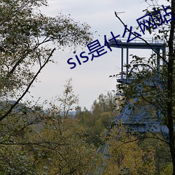 sis是什麽網站