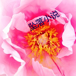坠落(luò)小说