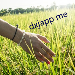 dxjapp me （情爱）