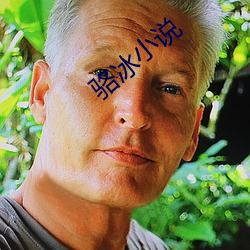 駱冰小說