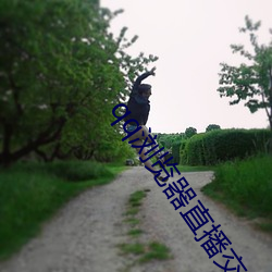 qq浏览器直播交友