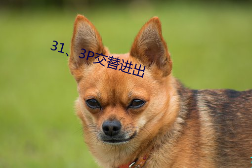31、3P交替进出