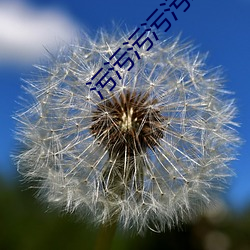 污污污污污APP下载