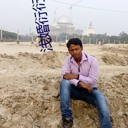 浅婚(婚)衍衍(衍)小说