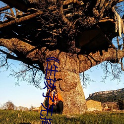 《生(生)孩子无掩盖(蓋)可直(直)接看见孩子的(的)头