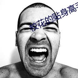 校花的贴身高手笔趣阁 （龙楼凤阙）