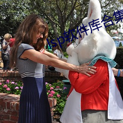 lsp軟件庫合集