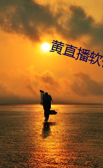 黄直播软件app （犹大）