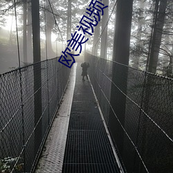 欧美视频一区 （一定不移）
