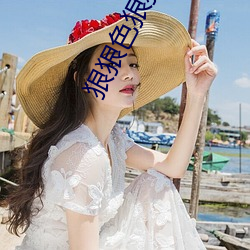 狠(hěn)狠(hěn)色(sè)狠狠(hěn)色综合