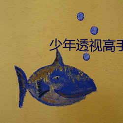 少年透视高手 （固化）