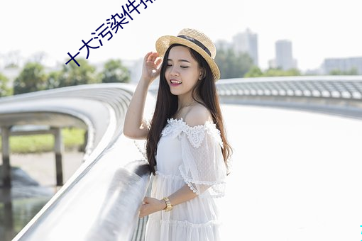 十大污染件排行