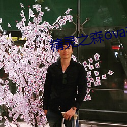精灵(líng)之(zhī)森ova拯救精灵(líng)森林