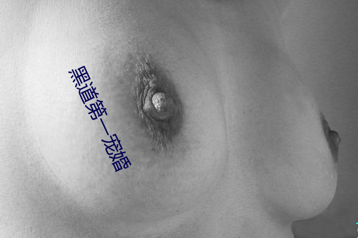 黑道第一宠婚