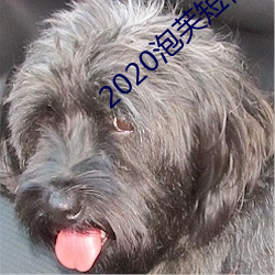 2020泡(pào)芙短(duǎn)视(shì)频app