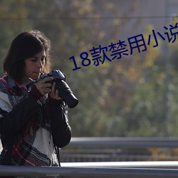 18款禁用小说app网(w¨£ng)站