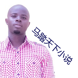 马踏天下小说 （一知半解）