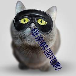 金年会(中国)官方网站