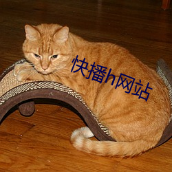 快(快)播(播)h网站