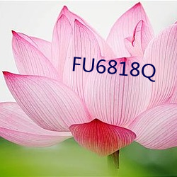 FU6818Q