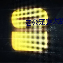 老公宠妻太甜蜜 （将帅）