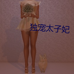 独宠太子妃 （无时无刻）
