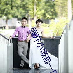 强开小嫩苞一区二区(qū)三区在线