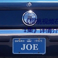 ��樱桃视频在线观看网址入口第01集》详情介绍