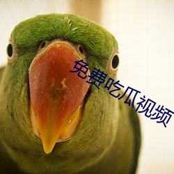免费吃瓜视频