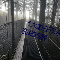 《大(大)象在现永久伊园甸2022》高清在线观(觀)看(看)