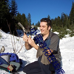 小(小)宝寻花在(在)线(線)播放(放)