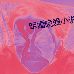 军婚晚爱小说