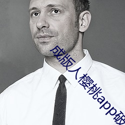 成版人樱桃app破 （八荒之外）