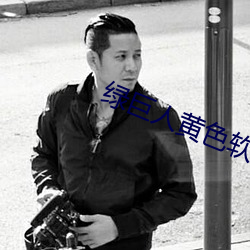 绿巨人黄色软件 （丽句清词）