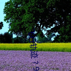 飞行(xíng)轨(guǐ)迹 ? 9A