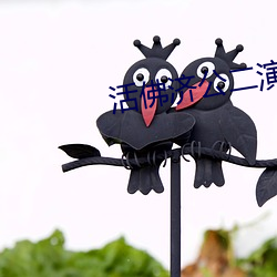 活佛济公二演员表
