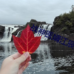 战神医婿江辰(辰)